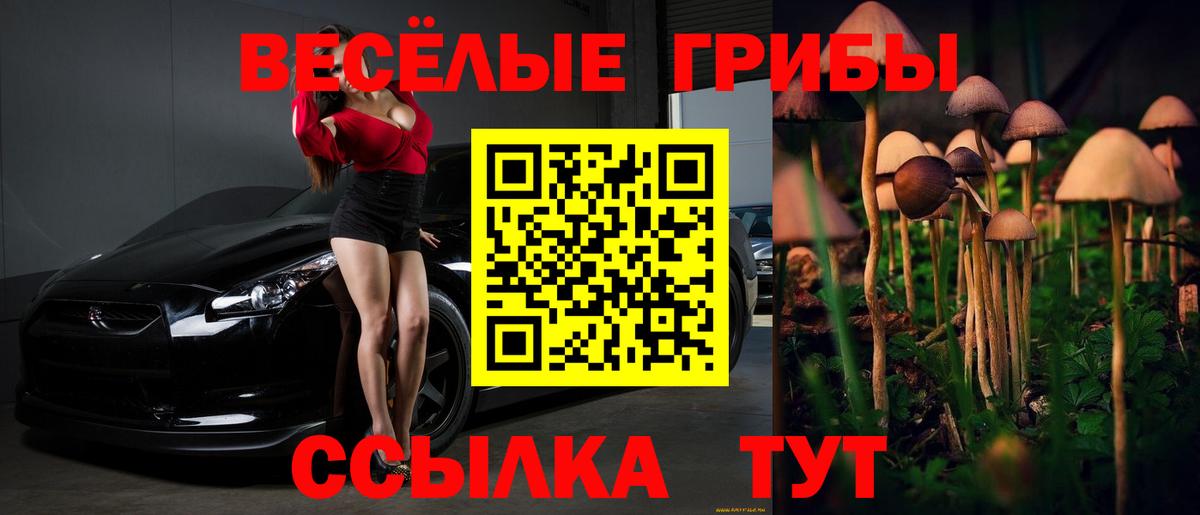 наркошоп  Псилоцибиновые грибы GOLDEN TEACHER  Вход с VPN  Набережные Челны 